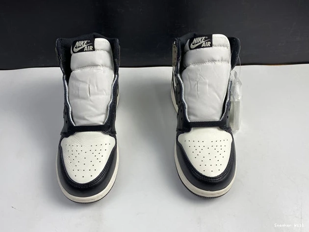 GoAnywhere 3450 Mocha Jordan1 555088- Retro 493 Dark 0608